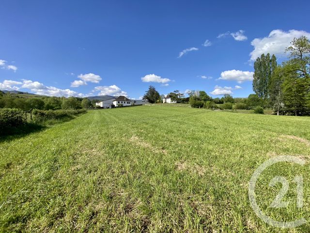 terrain à vendre - 5130.0 m2 - ORDIARP - 64 - AQUITAINE - Century 21 Belharra Xiberoa