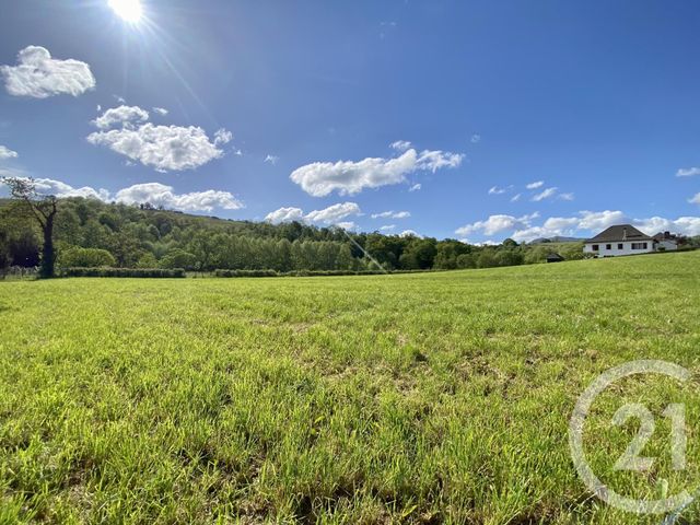 terrain à vendre - 5130.0 m2 - ORDIARP - 64 - AQUITAINE - Century 21 Belharra Xiberoa