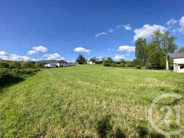 terrain à vendre - 5130.0 m2 - ORDIARP - 64 - AQUITAINE - Century 21 Belharra Xiberoa