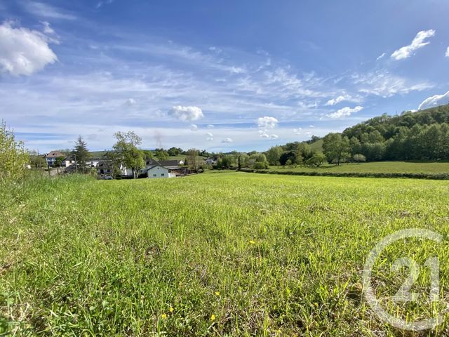 terrain à vendre - 5130.0 m2 - ORDIARP - 64 - AQUITAINE - Century 21 Belharra Xiberoa