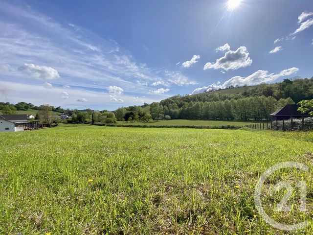 terrain à vendre - 5130.0 m2 - ORDIARP - 64 - AQUITAINE - Century 21 Belharra Xiberoa