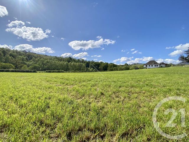 terrain à vendre - 5130.0 m2 - ORDIARP - 64 - AQUITAINE - Century 21 Belharra Xiberoa