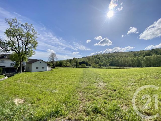 terrain à vendre - 5130.0 m2 - ORDIARP - 64 - AQUITAINE - Century 21 Belharra Xiberoa