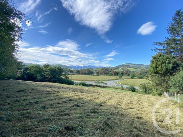 terrain à vendre - 3250.0 m2 - CHERAUTE - 64 - AQUITAINE - Century 21 Belharra Xiberoa