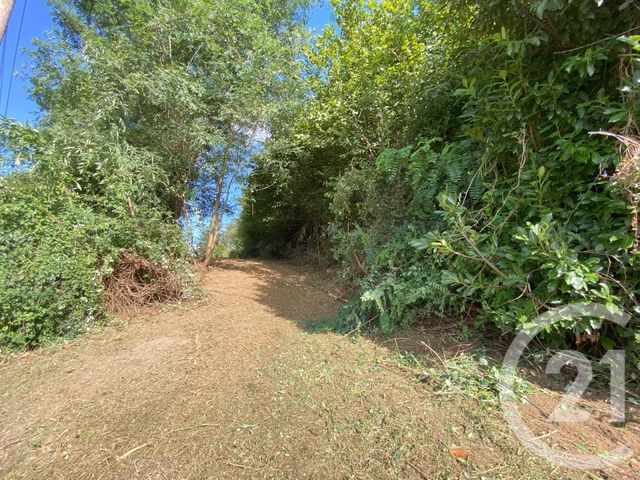 terrain à vendre - 3250.0 m2 - CHERAUTE - 64 - AQUITAINE - Century 21 Belharra Xiberoa