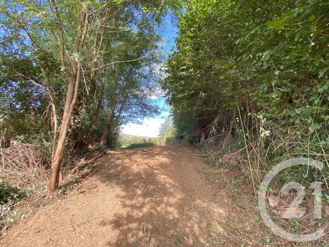 terrain à vendre - 3250.0 m2 - CHERAUTE - 64 - AQUITAINE - Century 21 Belharra Xiberoa