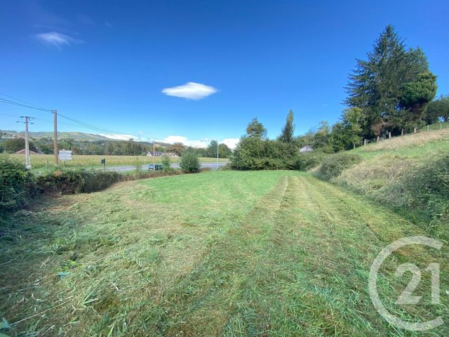 terrain à vendre - 3250.0 m2 - CHERAUTE - 64 - AQUITAINE - Century 21 Belharra Xiberoa