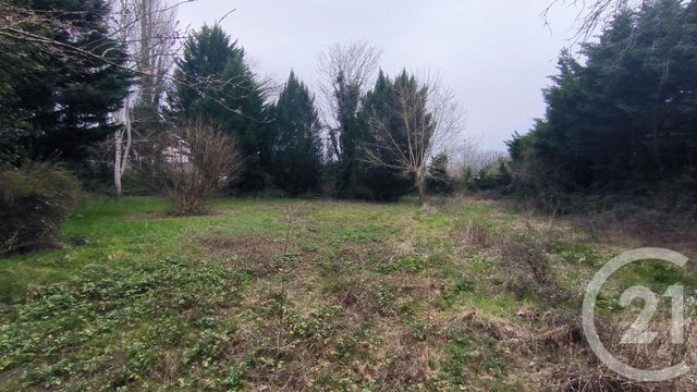 maison à vendre - 6 pièces - 86.2 m2 - ESPES UNDUREIN - 64 - AQUITAINE - Century 21 Belharra Xiberoa