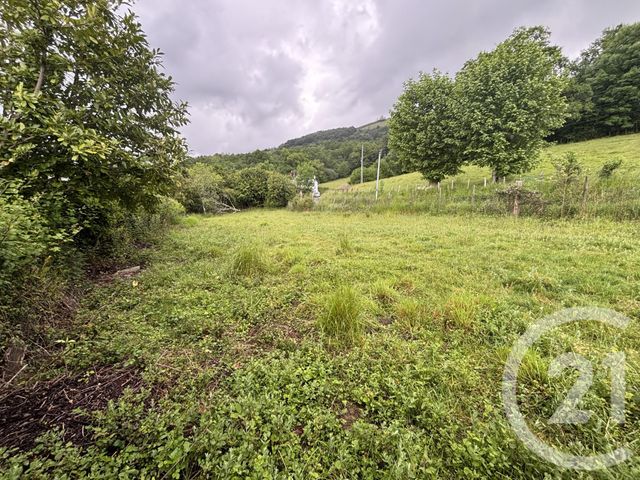 terrain à vendre - 1202.0 m2 - GOTEIN LIBARRENX - 64 - AQUITAINE - Century 21 Belharra Xiberoa