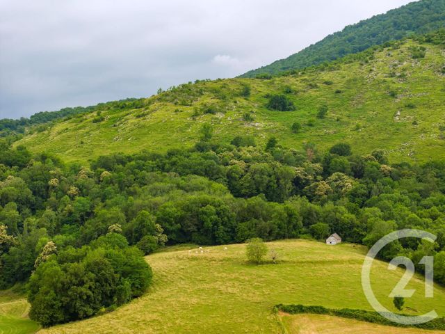 maison à vendre - 8 pièces - 161.0 m2 - OSSAS SUHARE - 64 - AQUITAINE - Century 21 Belharra Xiberoa