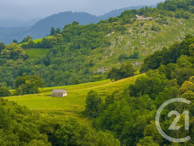 maison à vendre - 8 pièces - 161.0 m2 - OSSAS SUHARE - 64 - AQUITAINE - Century 21 Belharra Xiberoa