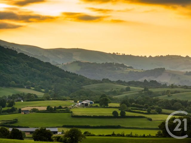 maison à vendre - 8 pièces - 161.0 m2 - OSSAS SUHARE - 64 - AQUITAINE - Century 21 Belharra Xiberoa