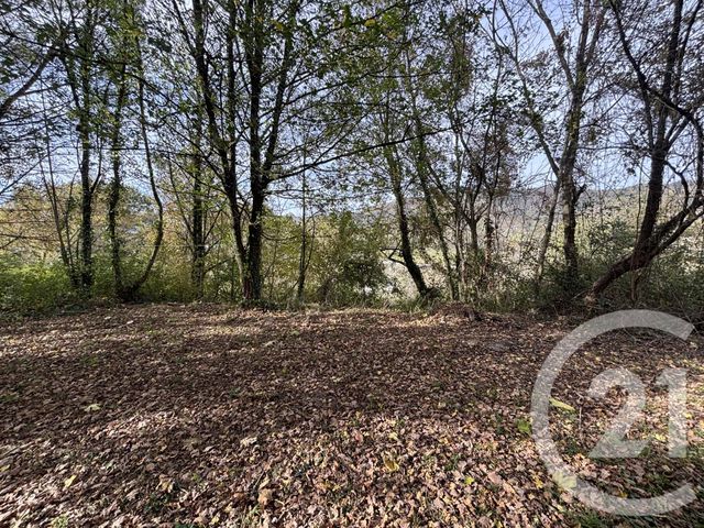 maison à vendre - 5 pièces - 92.65 m2 - MAULEON SOULE - 64 - AQUITAINE - Century 21 Belharra Xiberoa