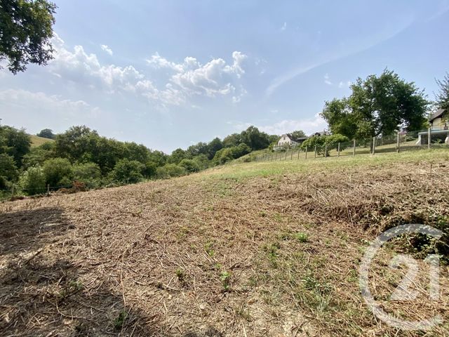 terrain à vendre - 1042.0 m2 - LANNE EN BARETOUS - 64 - AQUITAINE - Century 21 Belharra Xiberoa
