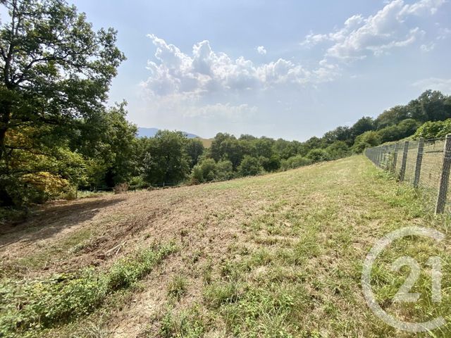 terrain à vendre - 1042.0 m2 - LANNE EN BARETOUS - 64 - AQUITAINE - Century 21 Belharra Xiberoa