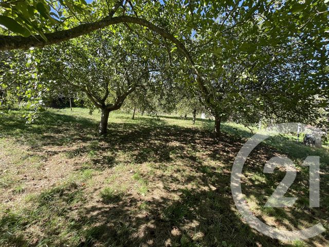 terrain à vendre - 1021.0 m2 - ALCAY ALCABEHETY SUNHARETTE - 64 - AQUITAINE - Century 21 Belharra Xiberoa