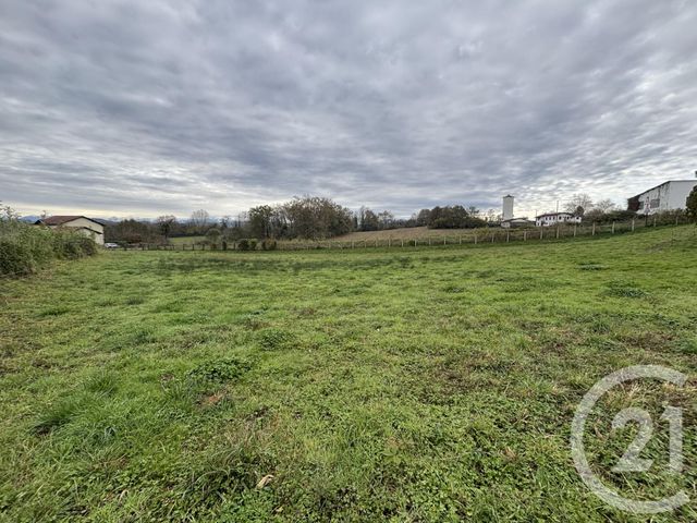 terrain à vendre - 1826.0 m2 - DOMEZAIN BERRAUTE - 64 - AQUITAINE - Century 21 Belharra Xiberoa