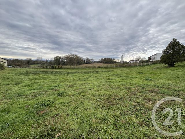 terrain à vendre - 1826.0 m2 - DOMEZAIN BERRAUTE - 64 - AQUITAINE - Century 21 Belharra Xiberoa