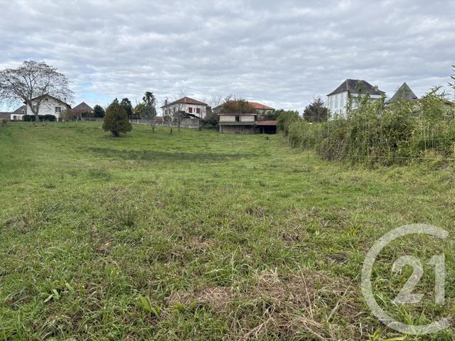 terrain à vendre - 1826.0 m2 - DOMEZAIN BERRAUTE - 64 - AQUITAINE - Century 21 Belharra Xiberoa