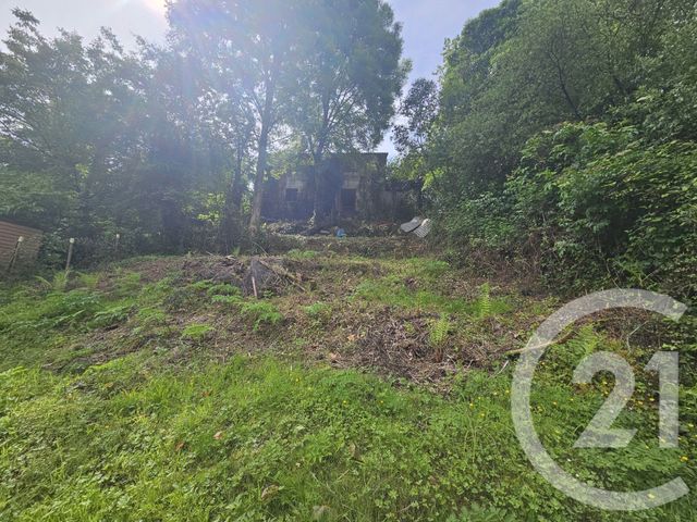 maison à vendre - 3 pièces - 80.0 m2 - MAULEON LICHARRE - 64 - AQUITAINE - Century 21 Belharra Xiberoa