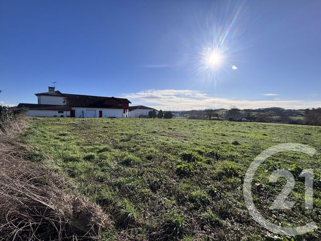 terrain à vendre - 1500.0 m2 - LABETS BISCAY - 64 - AQUITAINE - Century 21 Belharra Xiberoa