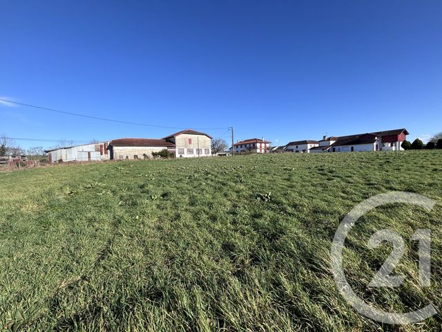 terrain à vendre - 1500.0 m2 - LABETS BISCAY - 64 - AQUITAINE - Century 21 Belharra Xiberoa