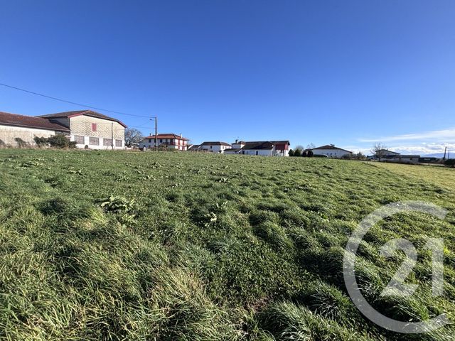 terrain à vendre - 1500.0 m2 - LABETS BISCAY - 64 - AQUITAINE - Century 21 Belharra Xiberoa