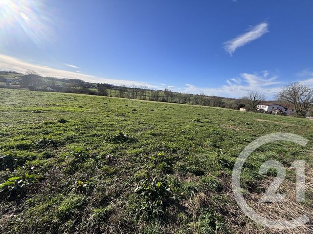 terrain à vendre - 1500.0 m2 - LABETS BISCAY - 64 - AQUITAINE - Century 21 Belharra Xiberoa