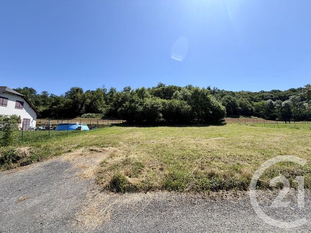 terrain à vendre - 625.0 m2 - TROIS VILLES - 64 - AQUITAINE - Century 21 Belharra Xiberoa