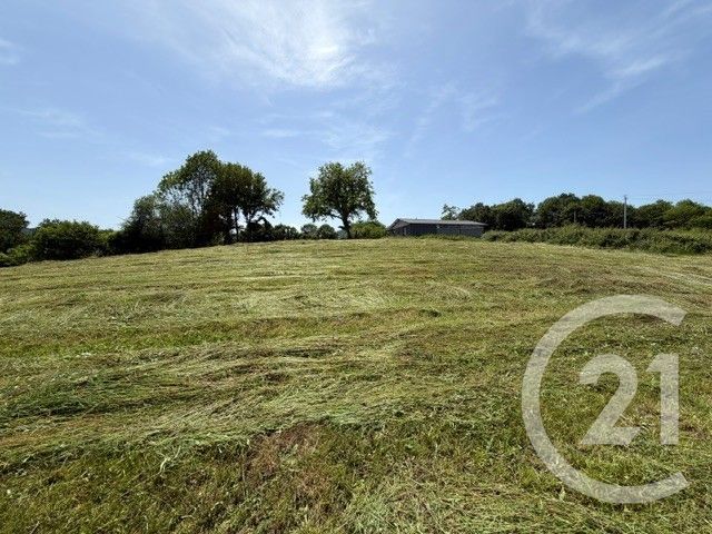 terrain à vendre - 2500.0 m2 - ESQUIULE - 64 - AQUITAINE - Century 21 Belharra Xiberoa