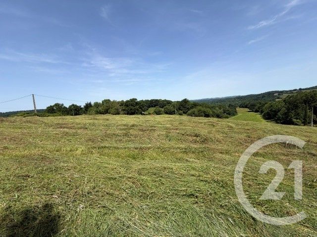 terrain à vendre - 2500.0 m2 - ESQUIULE - 64 - AQUITAINE - Century 21 Belharra Xiberoa