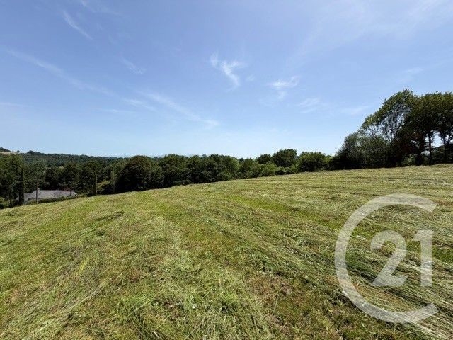 terrain à vendre - 2500.0 m2 - ESQUIULE - 64 - AQUITAINE - Century 21 Belharra Xiberoa
