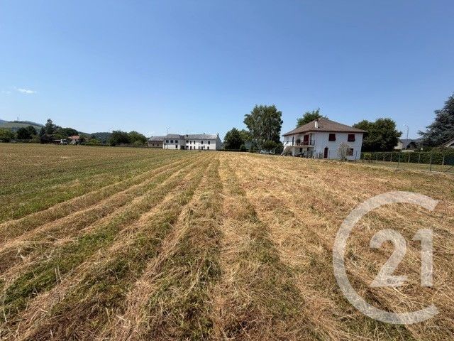 terrain à vendre - 2530.0 m2 - GURMENCON - 64 - AQUITAINE - Century 21 Belharra Xiberoa