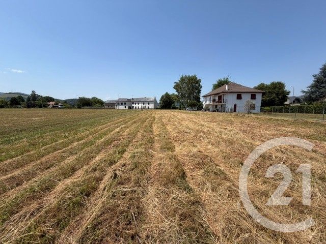 terrain à vendre - 2530.0 m2 - GURMENCON - 64 - AQUITAINE - Century 21 Belharra Xiberoa