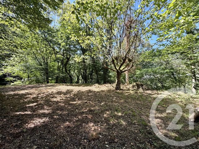 maison à vendre - 3 pièces - 70.95 m2 - LICQ ATHEREY - 64 - AQUITAINE - Century 21 Belharra Xiberoa