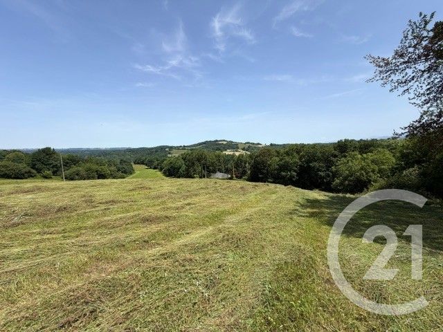 terrain à vendre - 3841.0 m2 - ESQUIULE - 64 - AQUITAINE - Century 21 Belharra Xiberoa