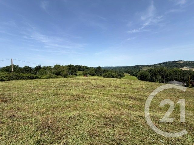 terrain à vendre - 3841.0 m2 - ESQUIULE - 64 - AQUITAINE - Century 21 Belharra Xiberoa