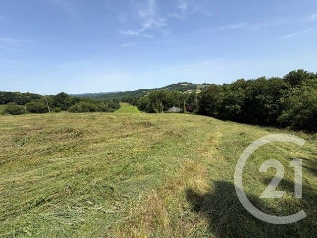 terrain à vendre - 3841.0 m2 - ESQUIULE - 64 - AQUITAINE - Century 21 Belharra Xiberoa