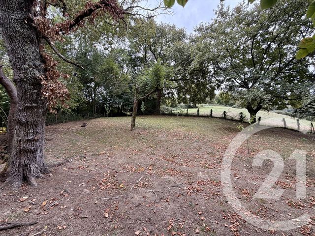 maison à vendre - 6 pièces - 115.0 m2 - CHERAUTE - 64 - AQUITAINE - Century 21 Belharra Xiberoa