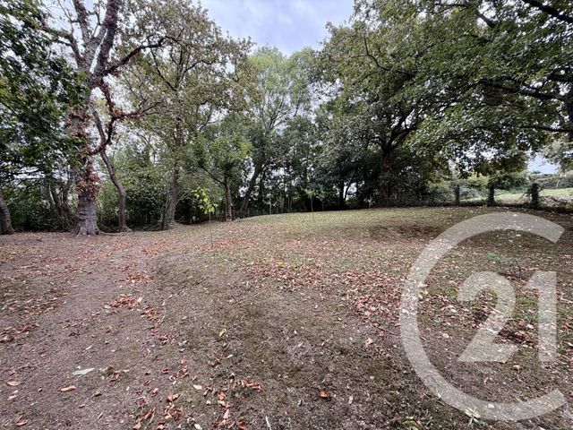 maison à vendre - 6 pièces - 115.0 m2 - CHERAUTE - 64 - AQUITAINE - Century 21 Belharra Xiberoa
