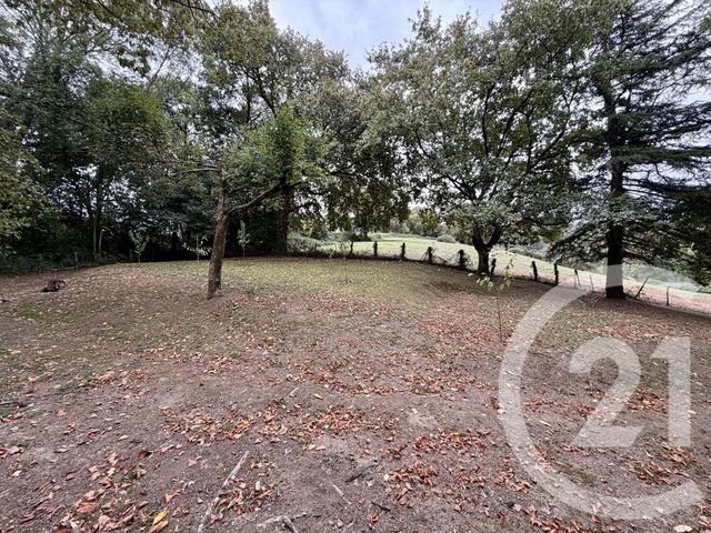 maison à vendre - 6 pièces - 115.0 m2 - CHERAUTE - 64 - AQUITAINE - Century 21 Belharra Xiberoa