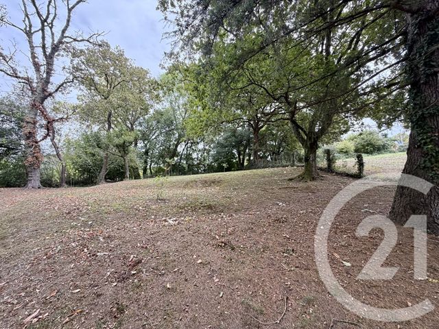 maison à vendre - 6 pièces - 115.0 m2 - CHERAUTE - 64 - AQUITAINE - Century 21 Belharra Xiberoa